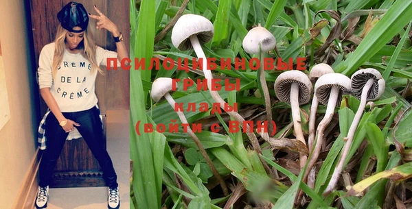 мяу мяу кристалл Богданович