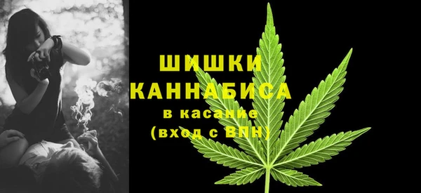 ECSTASY Богородицк