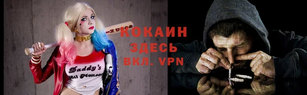 ECSTASY Богородицк