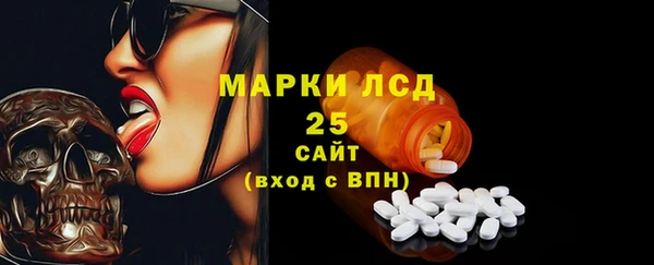 ECSTASY Богородицк