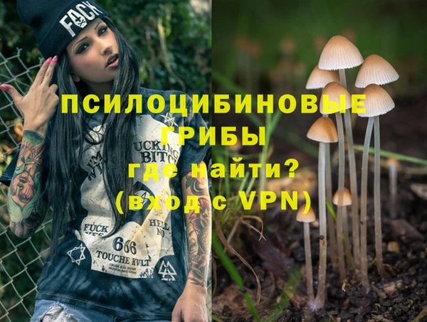 мяу мяу кристалл Богданович