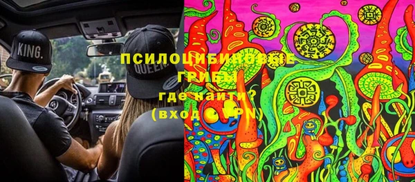 сатива Богородск