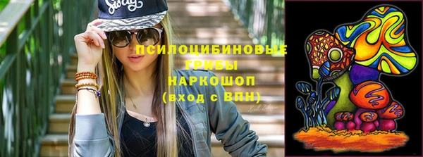 сатива Богородск