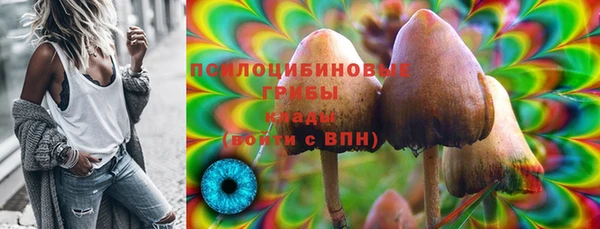 мяу мяу кристалл Богданович