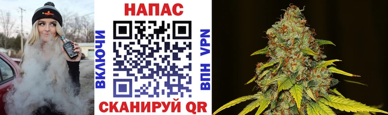 мориарти Telegram  Ялта  Конопля White Widow 